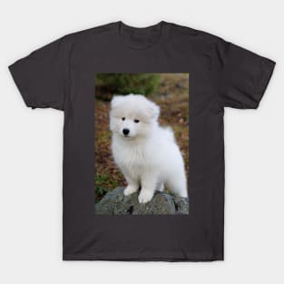 Cute samoyed dog puppy in the forest T-Shirt